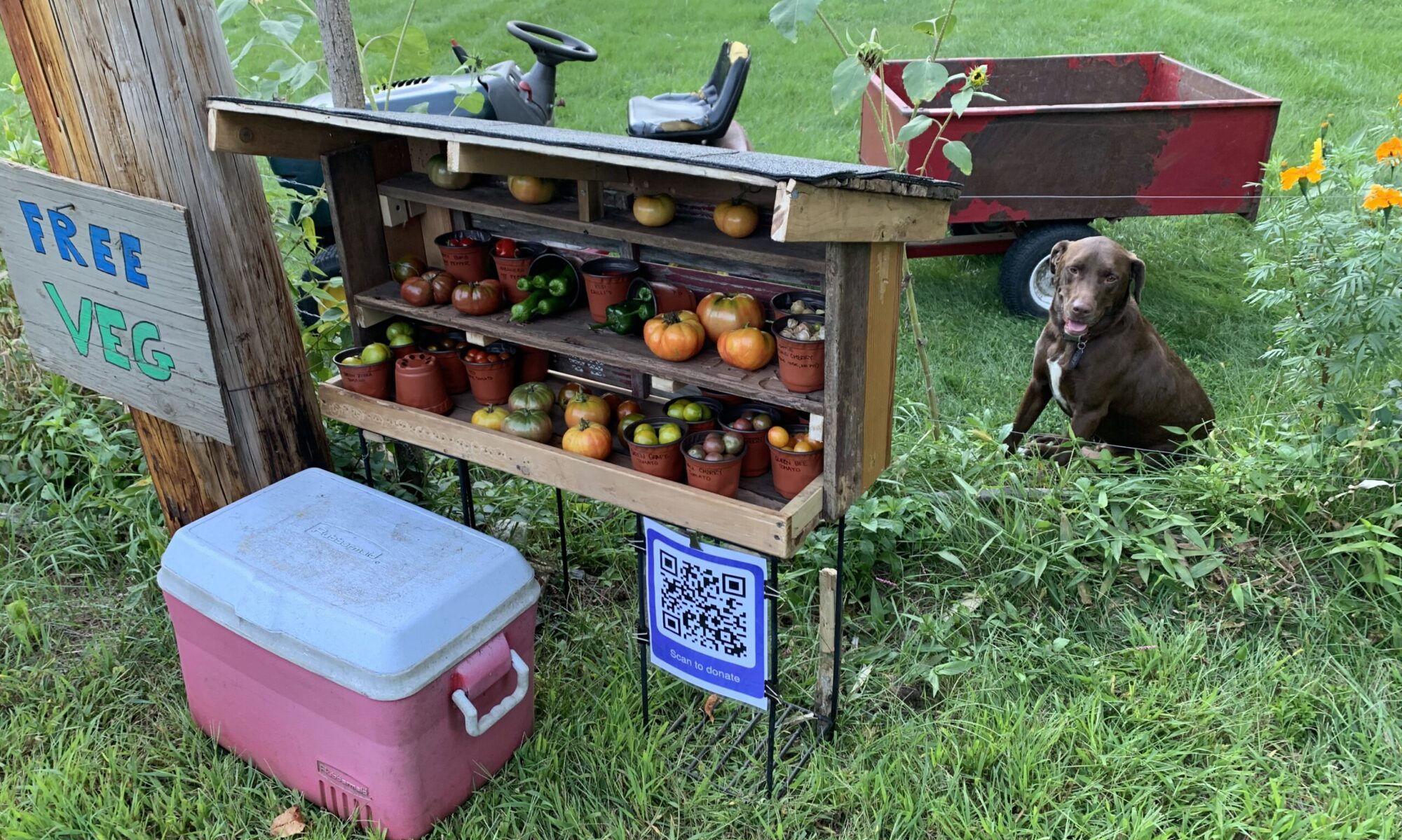 FREE_VEG_Toby