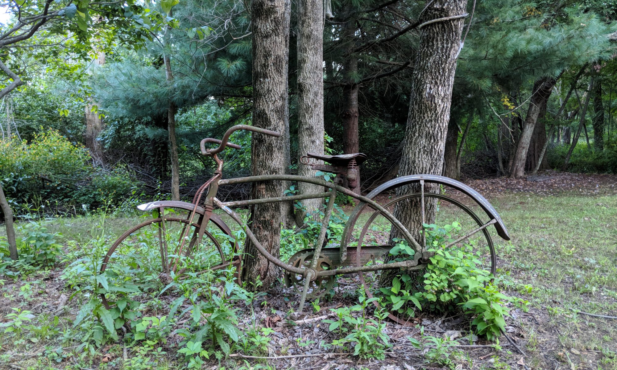 Rusty bike